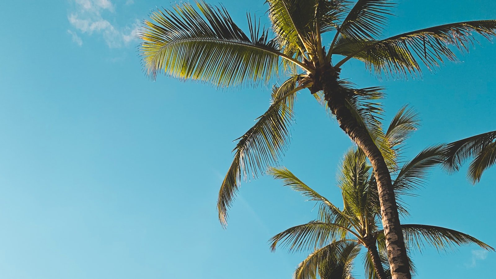 Living ⁣the‍ Beach Life: Local Tips​ for Trulia Cocoa Beach FL