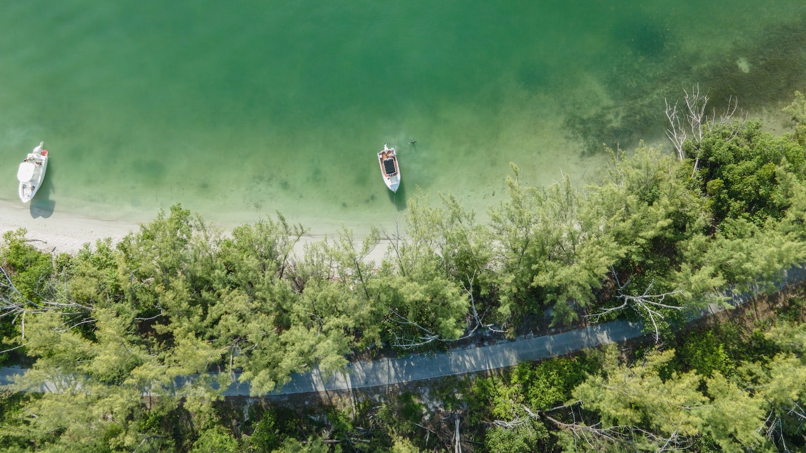 The Charm‌ and Tranquility‌ of Key Biscayne: Exploring Houses for Sale⁢ in this Unique Island Paradise